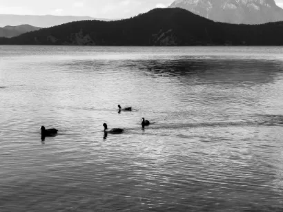 سلوتوكاش كازينو تطبيق الهاتف المحمول